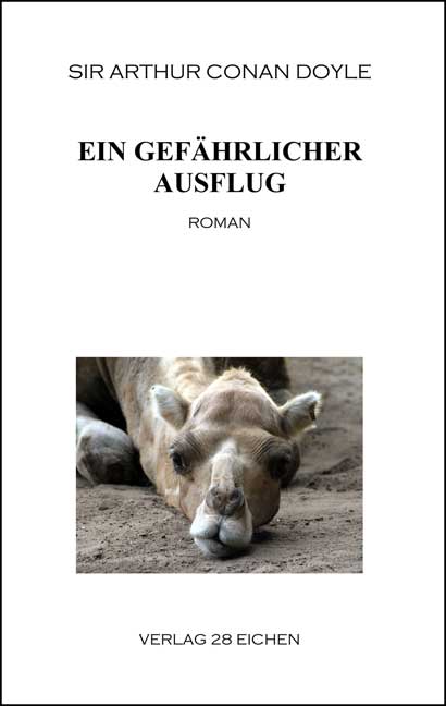 Cover Ein gefährlicherAusflug